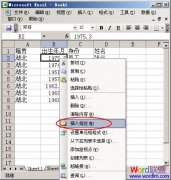 Excel2003ӵԪ˵